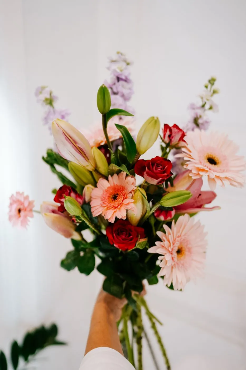 Ramo de gerberas rosas y rosas rojas en mano