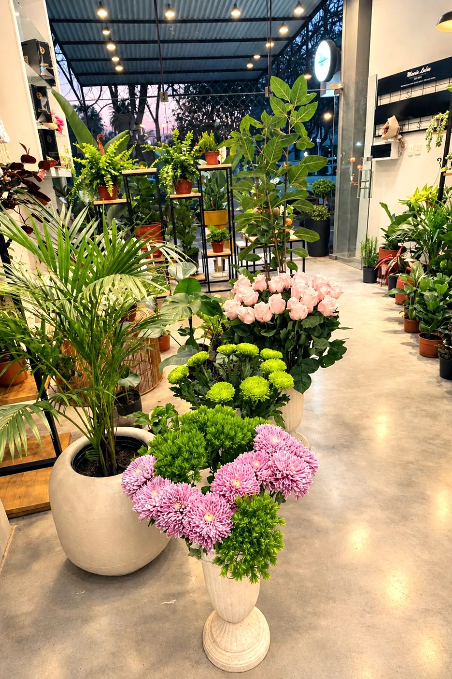 Interior del local con rosas, crisantemos y plantas — Florería María Lidia